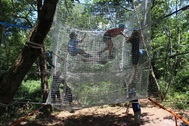  Spider game 