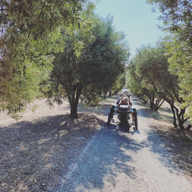  Swincar on the trails 