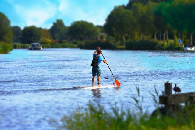 Paddle trip in the middle of the environment 