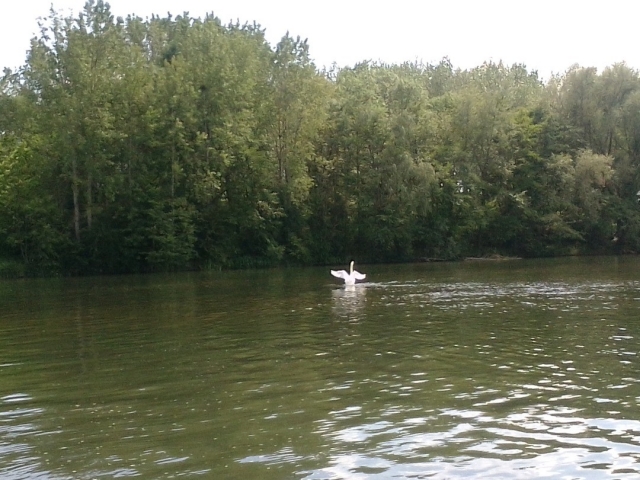  The fauna of the Yonne