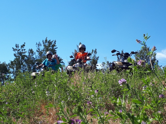  Quad in mezzo ai campi dell'Alta Corsica 