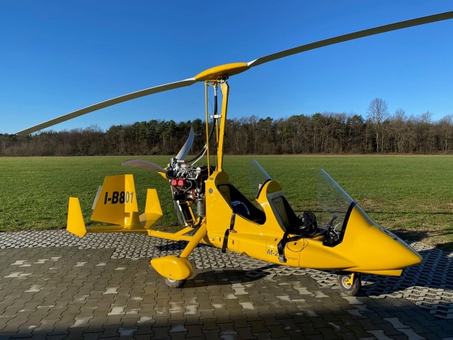  Ulm na base