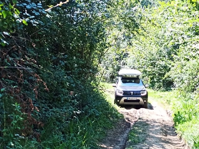  No meio da floresta 