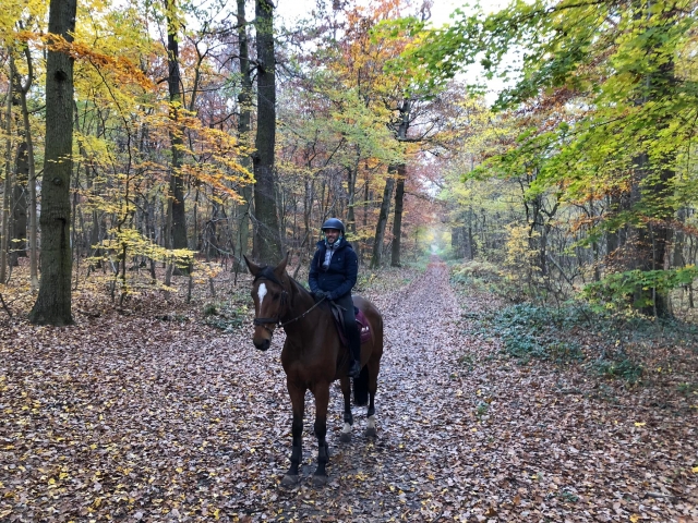 Fuga nella foresta 