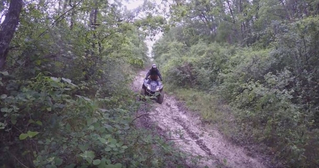 Sentier forestier en quad