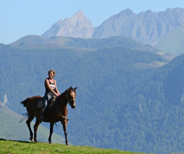  Guida a cavallo 