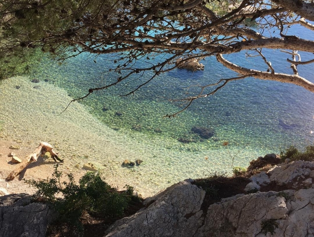 Vue des calanques 