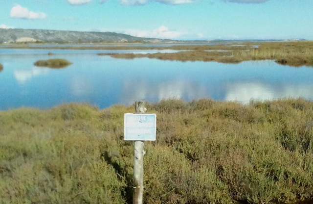  Paesaggio della regione 