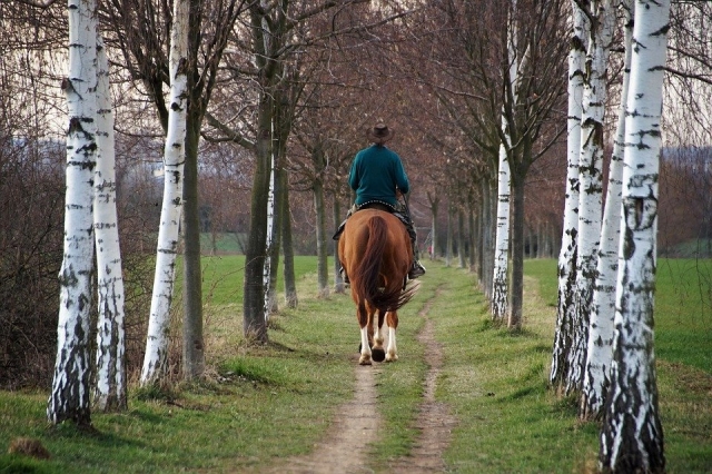  Giro a cavallo sui sentieri 