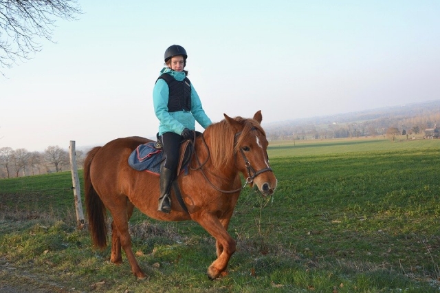  Cavaliere pony nei campi