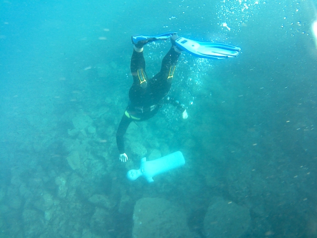 Découverte des fonds marins lors d'une initiation à la plongée