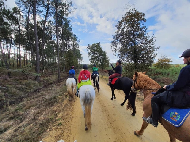  Paseo a caballo 