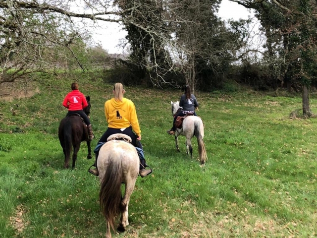  Paseos a caballo 