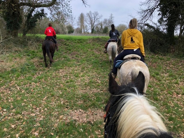  Horseback riding Lot-Et-Garonne 