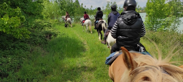  Horseback riding in across the field