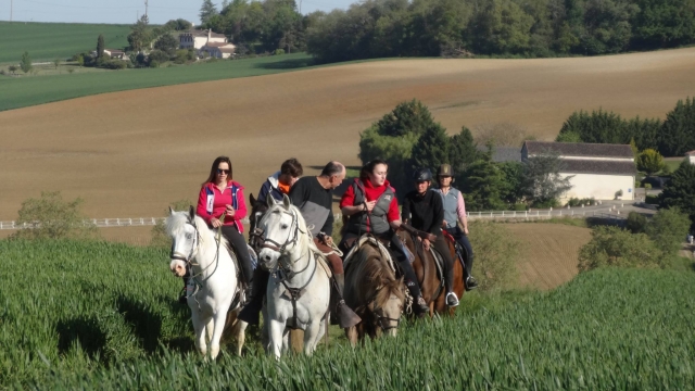Riders following the guides 