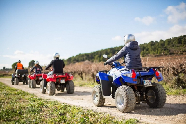 Tour in quad di 1 ora ad Argeliers 