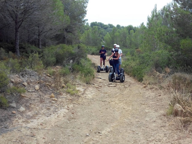  Mitten im Wald an Bord eines Segways 