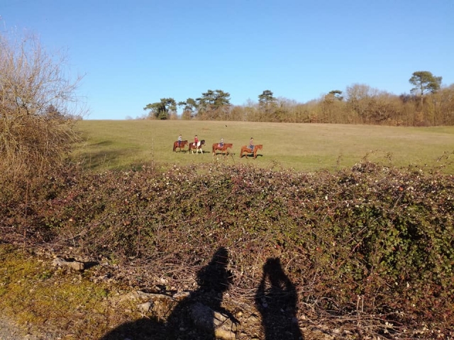 Passeggiata a cavallo nei campi 