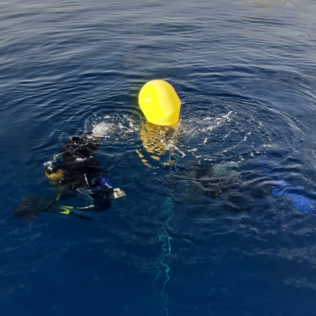 Prima immersione sulla costa Vermeille 