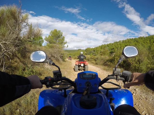 Vue du pilote