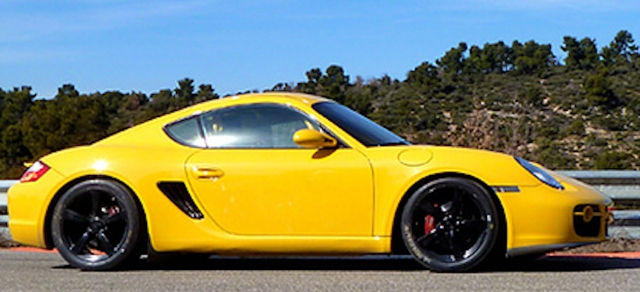  Porsche on the circuit 