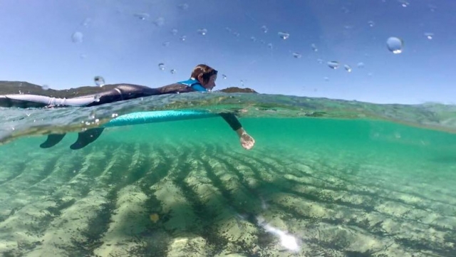  Surf sessions in the Gulf of Propriano 