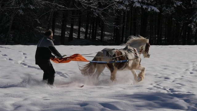  Skijoring al galoppo 