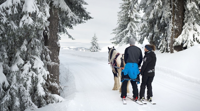  Skijoring a cavallo 