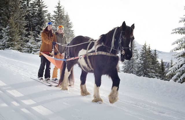  Iniziazione allo skijoring 