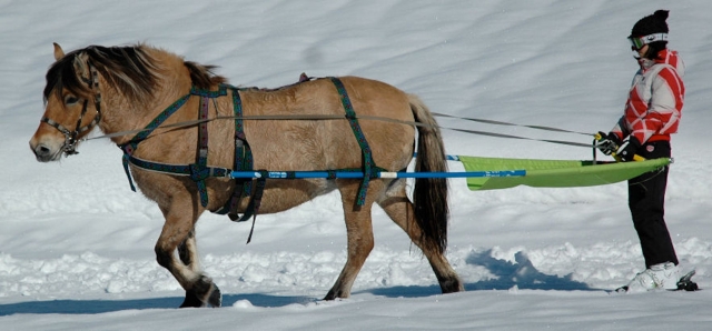  Attività equestre in montagna 
