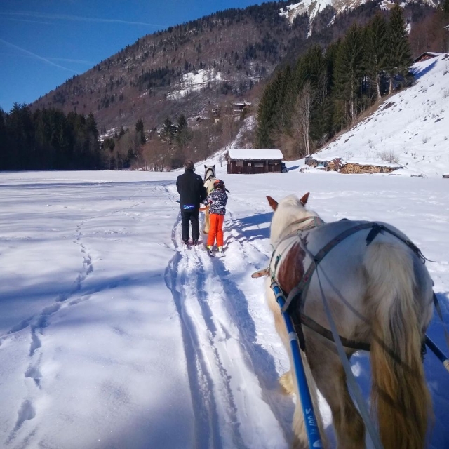  Gita per cavalieri esperti 