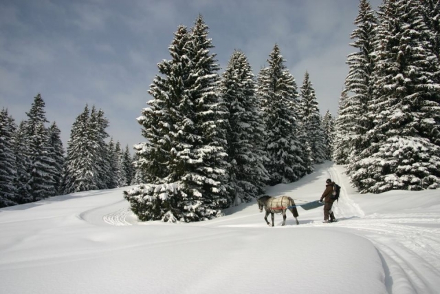  I paesaggi di Avoriaz 