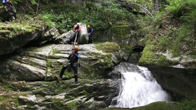 La natura riprende i suoi diritti 