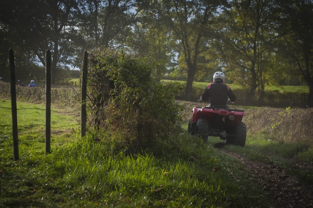  Waldweg im Quad 