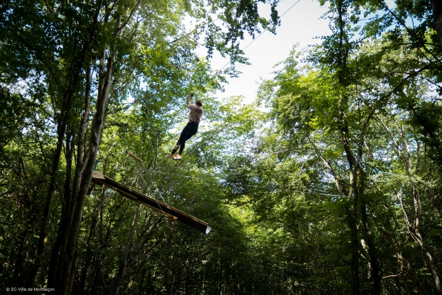  Mini zip lines treetop course