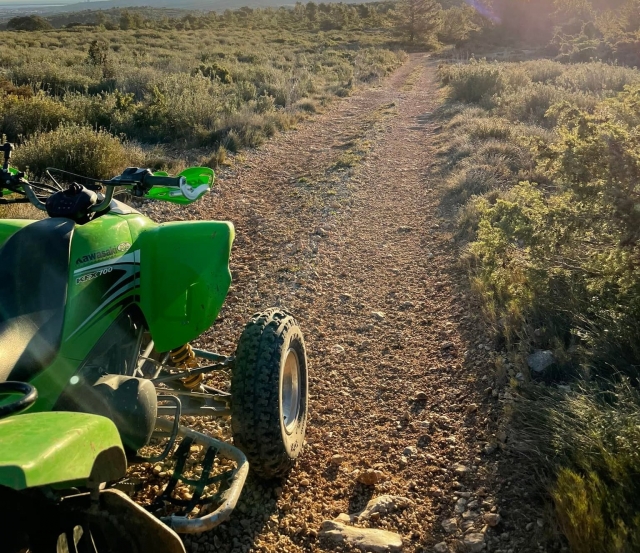  Quad in the morning 