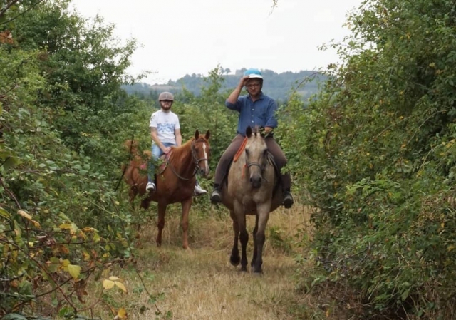  Passeggiate a cavallo a Laval