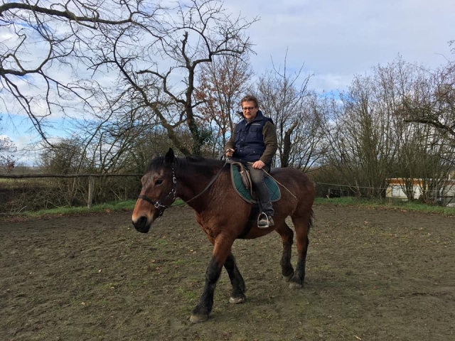  Passeggiate a cavallo 