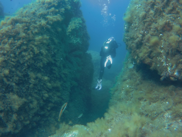 First time diving up to 6 meters deep 