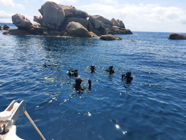  Sumérgete en el magnífico Golfo de Ajaccio 