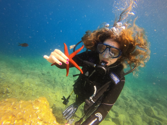  Una estrella de mar
