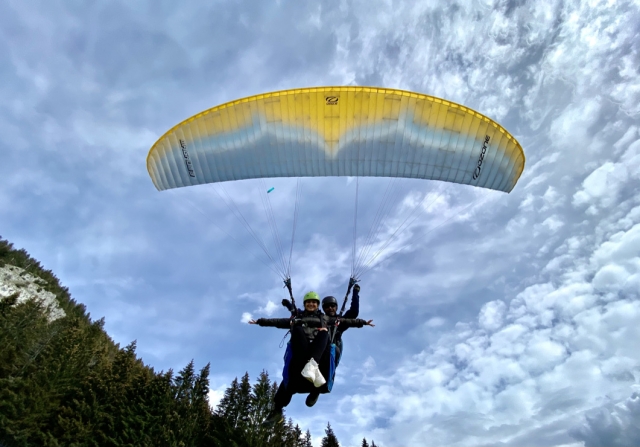  Wie ein Vogel am Himmel 