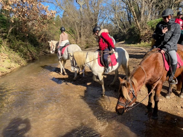  Les plaisirs de monter à cheval 