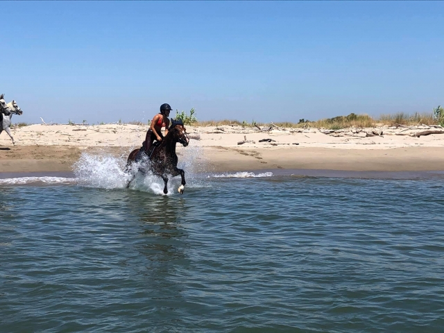  Balade au bord de l'eau 