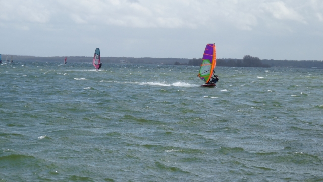 Planche à voile sur la Presqu'Ile de Champaubert