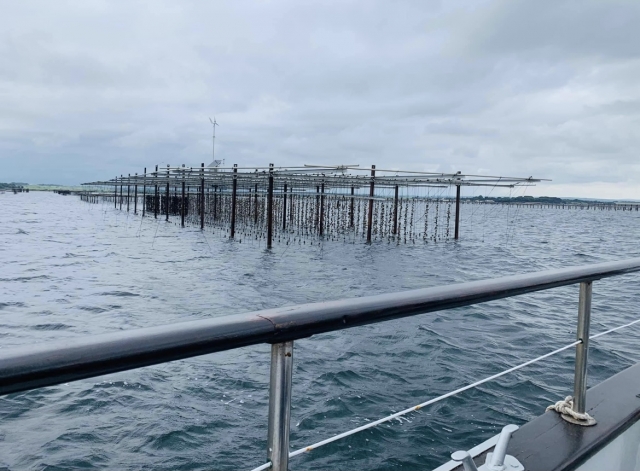  Visit to the oyster beds