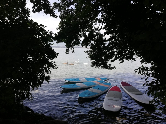 Location de planches de Paddle Géant