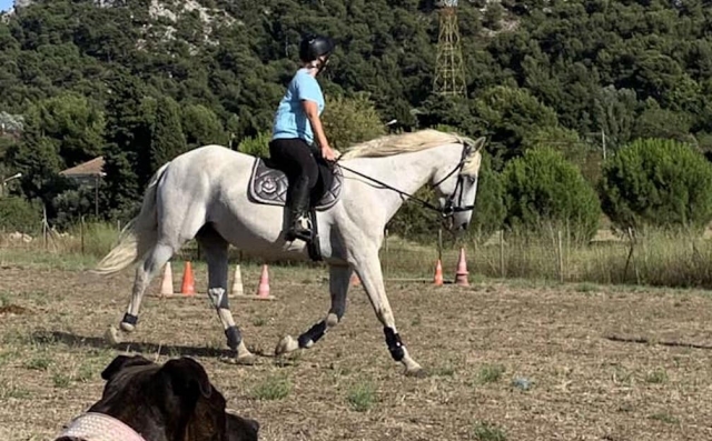  Perfeccionamiento a caballo 