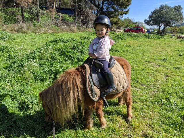  Imparare a cavalcare un pony 